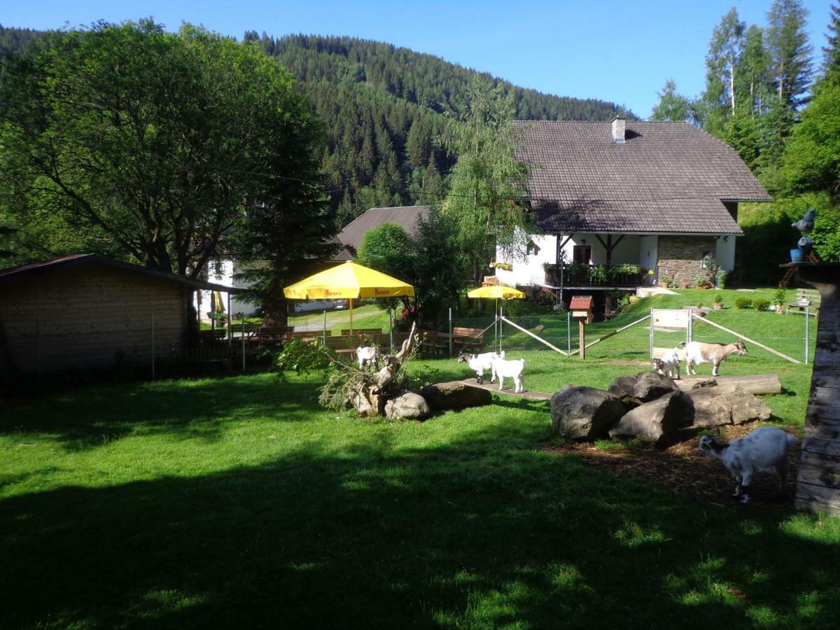 Apartment Zum Wasserfall Krakaudorf Exterior foto